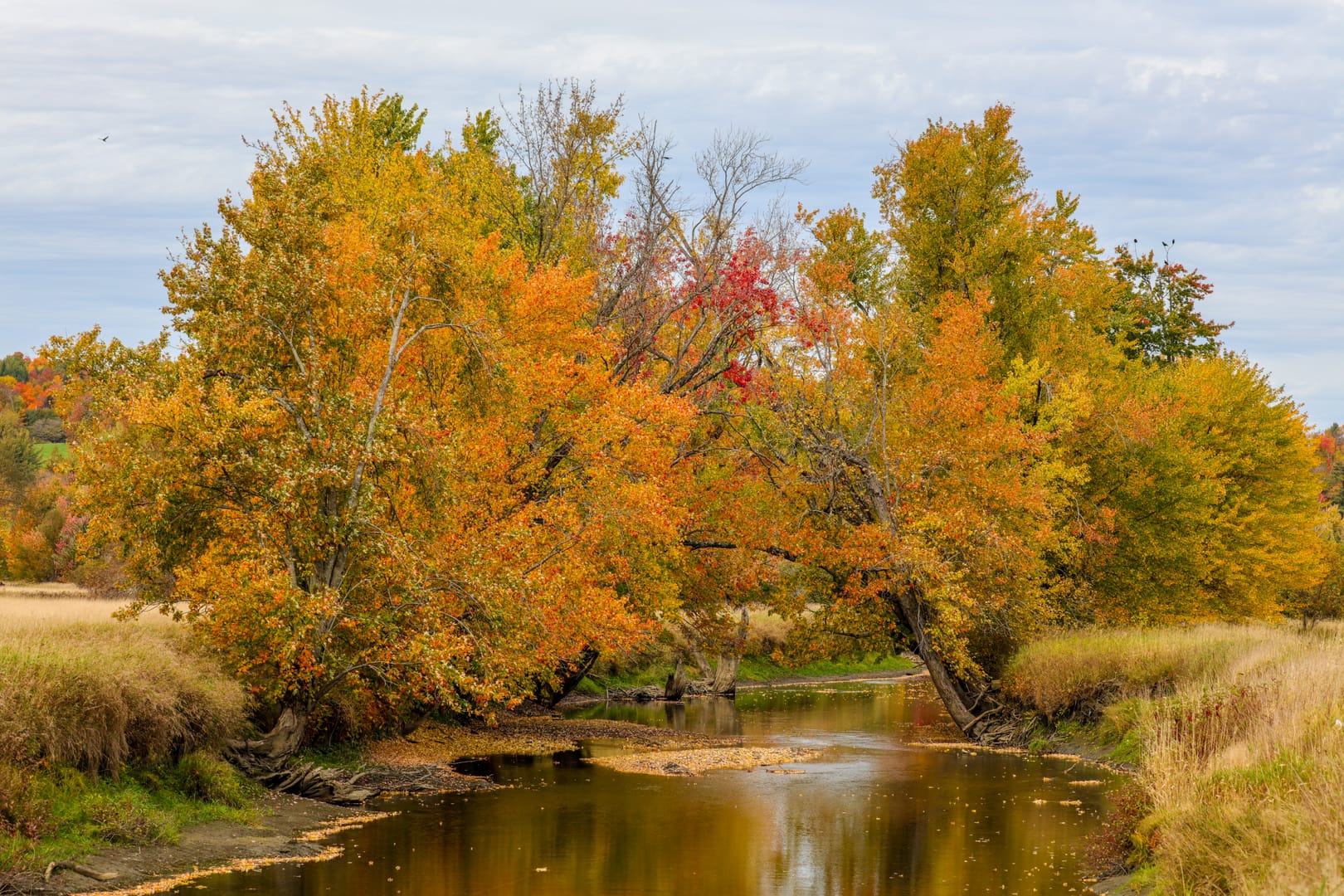 2016-10-08T11:43:57.950Z