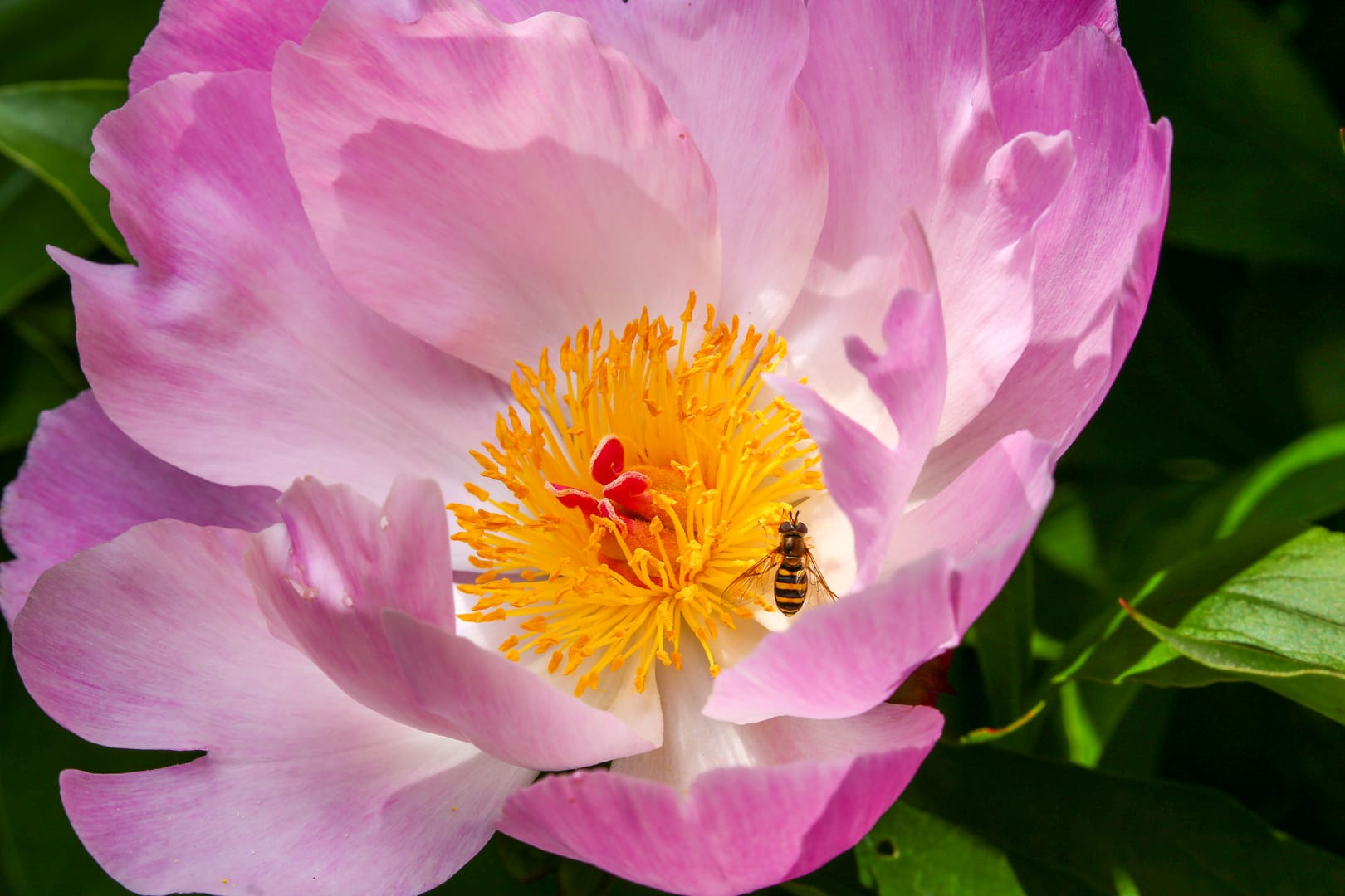 2015-06-14T12:43:24.770Z